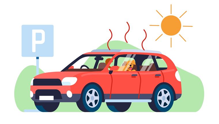 Προστατεύοντας το αυτοκίνητό σου από τον εκτεταμένο καύσωνα