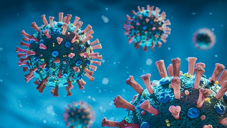 Τι είναι ο παρβοϊός;