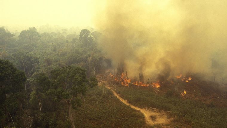 Ο Αμαζόνιος συνεχίζει να φλέγεται