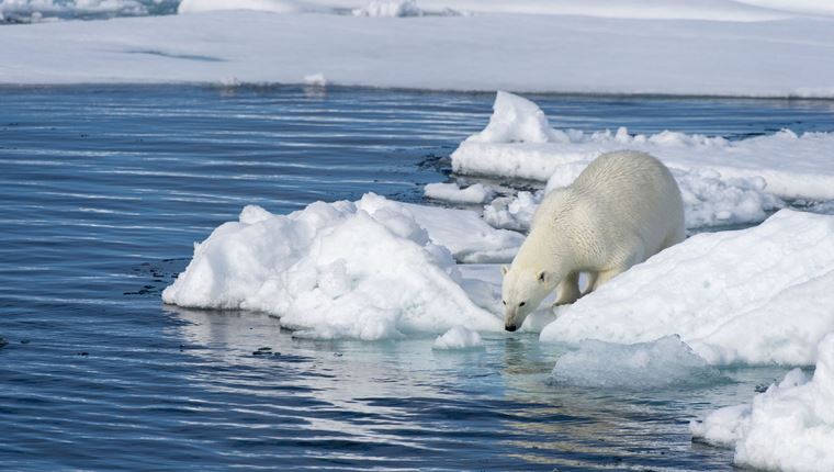 Ο Αρκτικός Ωκεανός μόλις μολύνθηκε από χλαμύδια