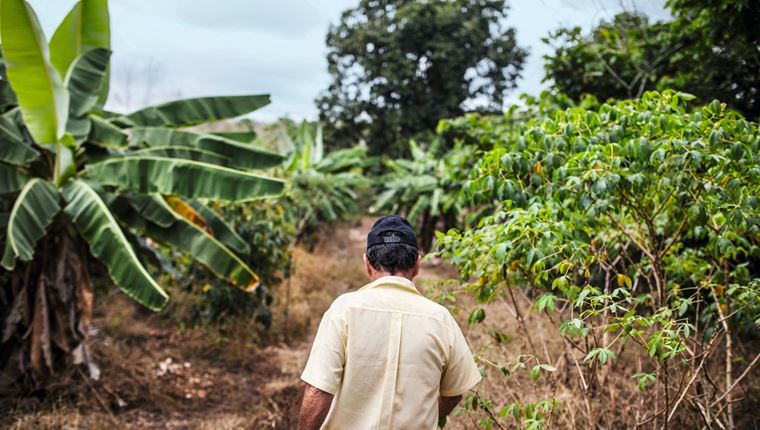 Ο νέος καφές της Nespresso έρχεται από τα Νησιά Γκαλαπάγκος
