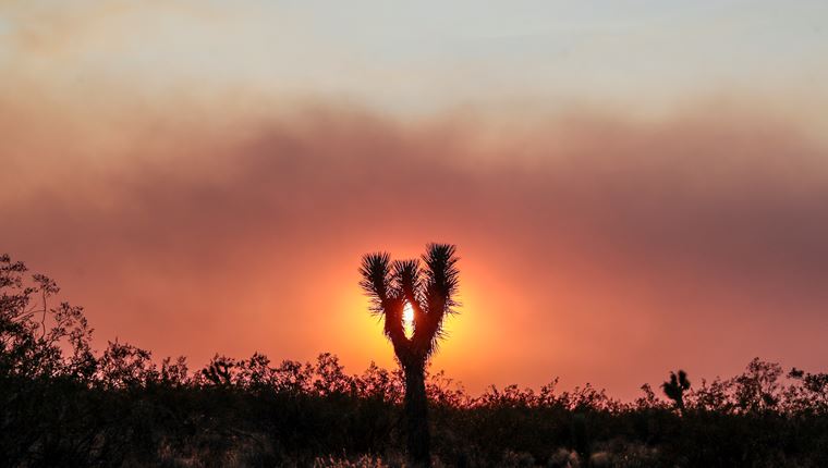 Καταστροφές ρεκόρ στην Καλιφόρνια από τις φετινές πυρκαγιές