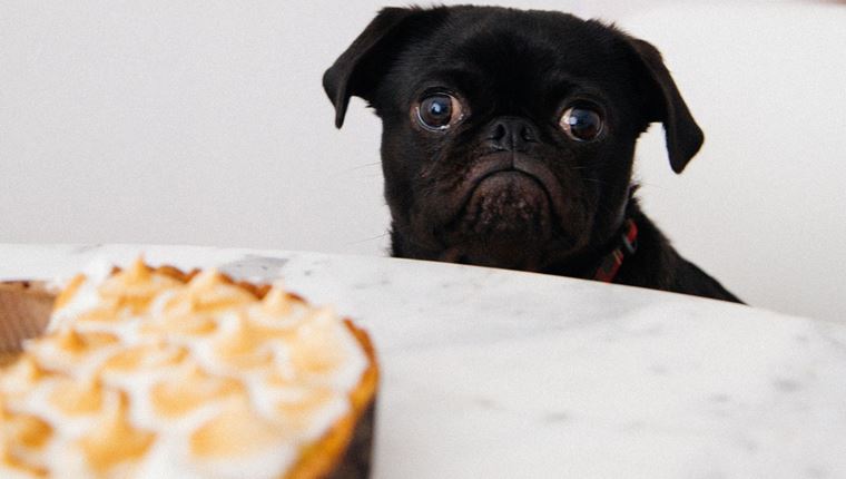 Η νηστεία που όλοι πρέπει να ακολουθήσουμε