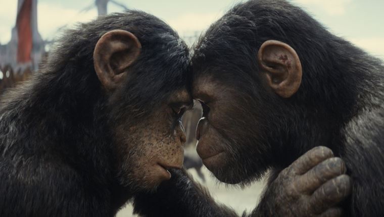 Πρώτο trailer για 'Το Βασίλειο του Πλανήτη των Πιθήκων'