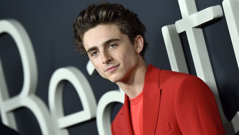 Η τολμηρή μονοχρωμία του Timothée Chalamet