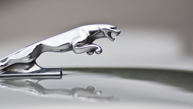 H στιγμή που πλήθος ανθρώπων βάζει φωτιά σε αυτόνομη Jaguar