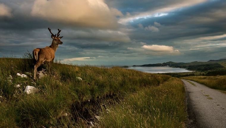 Στο σκωτσέζικο νησί Jura τα πάντα περιστρέφονται γύρω από το ουίσκι