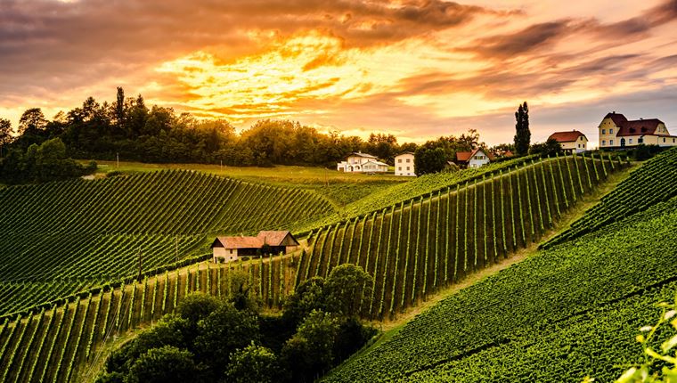 Τα 100 κορυφαία οινοποιεία του κόσμου για το 2020