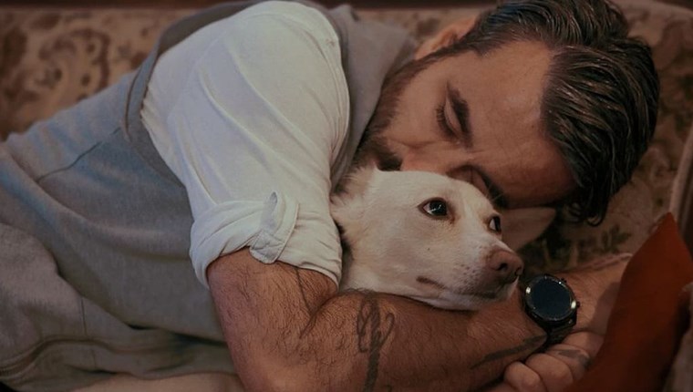 5 αδέσποτες ιστορίες