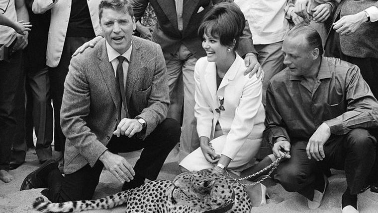 We Are One: Τα μεγαλύτερα κινηματογραφικά φεστιβάλ ενώνουν δυνάμεις στο YouTube