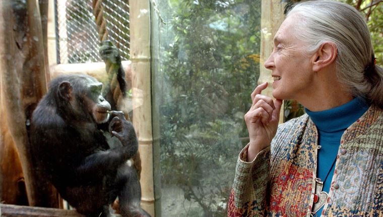 Έφυγε από τη ζωή η &#39;αληθινή ηρωίδα του πλανήτη&#39; Jane Goodall