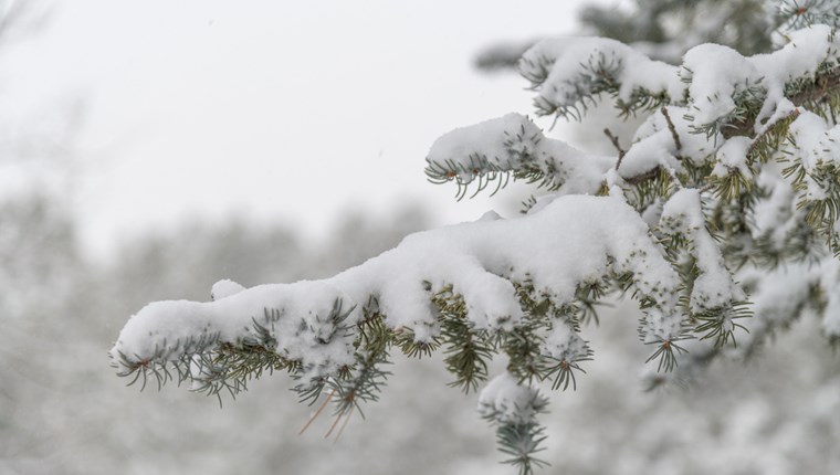 Γιατί ο Μάρτιος ήταν ψυχρότερος από τους μήνες του χειμώνα