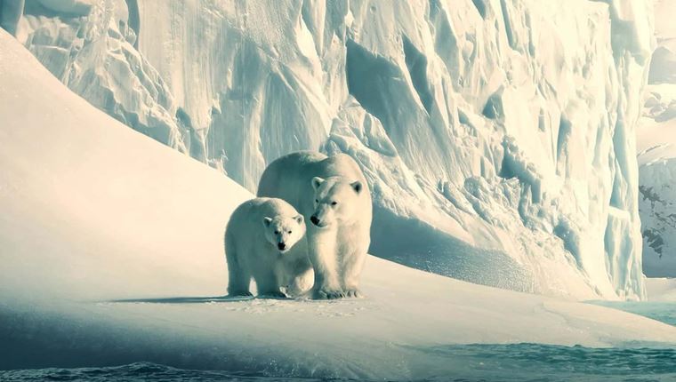 Κάποια από τα καλύτερα ντοκιμαντέρ του Netflix δωρεάν στο YouTube