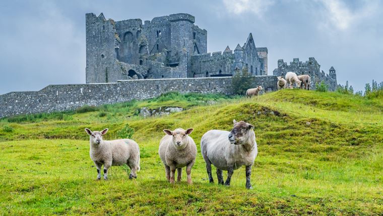 Ο πόλεμος του ιρλανδικού &#39;χρυσού&#39;