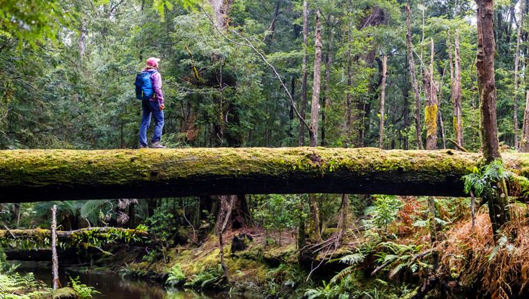 5 πράγματα που δεν ήξερες για την Τασμανία