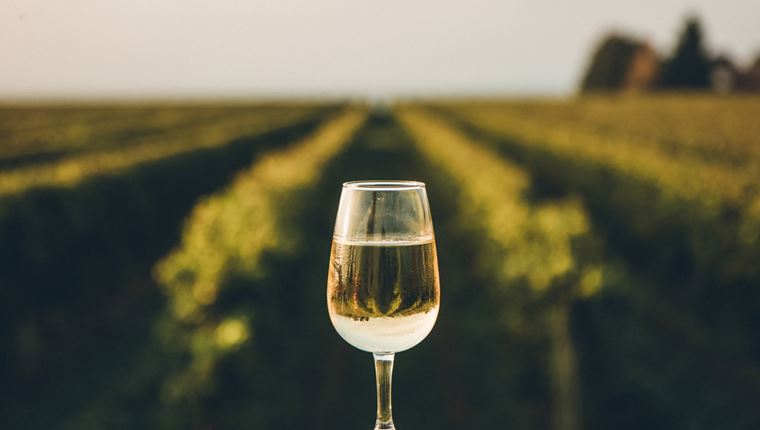 Η Άμβυξ ενισχύει το τμήμα Oenothèque