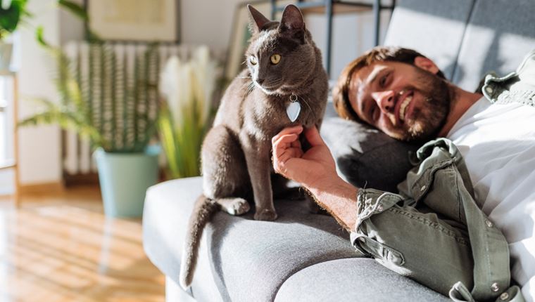 Με γάτα στο σπίτι όλα είναι καλύτερα