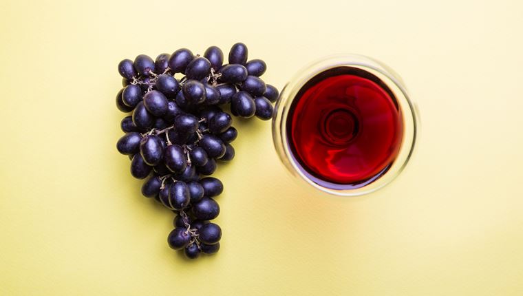 Όλα για το Ξινόμαυρο