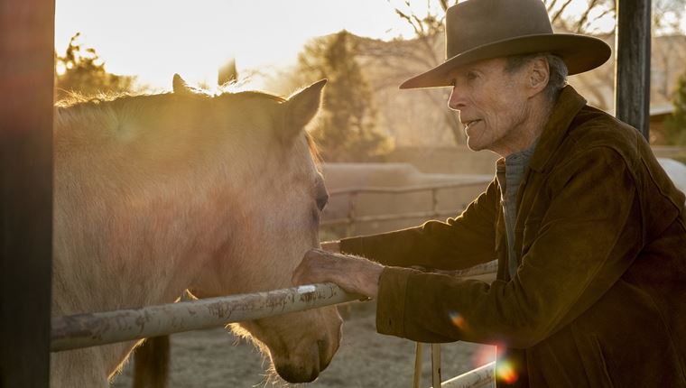 Το Cry Macho, ο Βασιλιάς Otto και ό,τι νέο έρχεται στα θερινά σινεμά