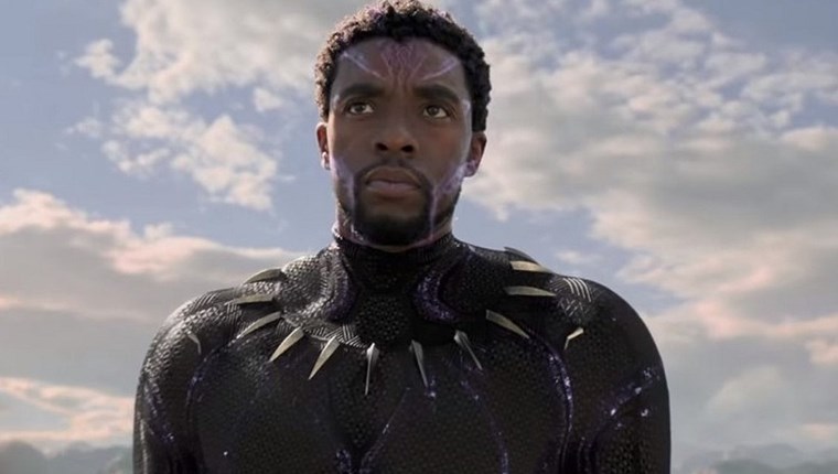 Οι ρόλοι ζωής του Chadwick Boseman