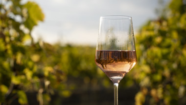 Οι Βάκχες έρχονται και πάλι στο Ρομάντσο