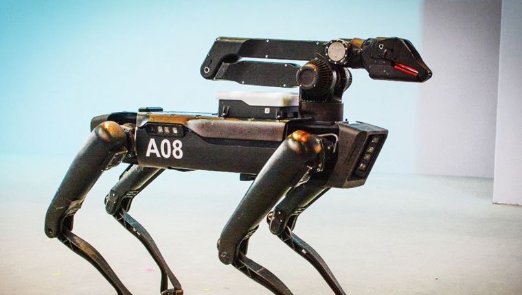 Το πρώτο ρομπότ-κατοικίδιο είναι γεγονός