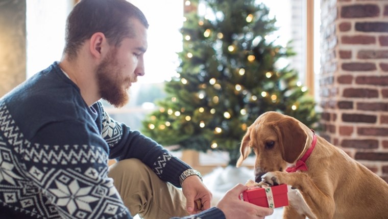 Ο απόλυτος οδηγός για τα χριστουγεννιάτικα δώρα σου