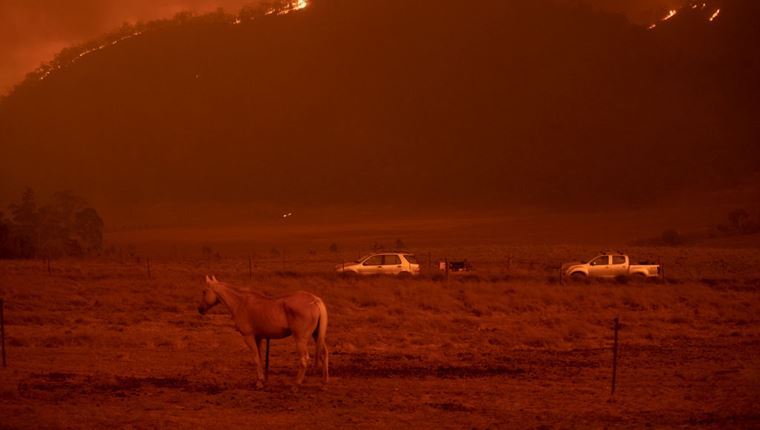 3 δισεκατομμύρια ζώα χάθηκαν στις πυρκαγιές της Αυστραλίας