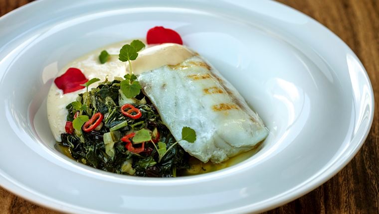 Σφυρίδα, σήμα-κατατεθέν της Κωνσταντίνας Φάκλαρη