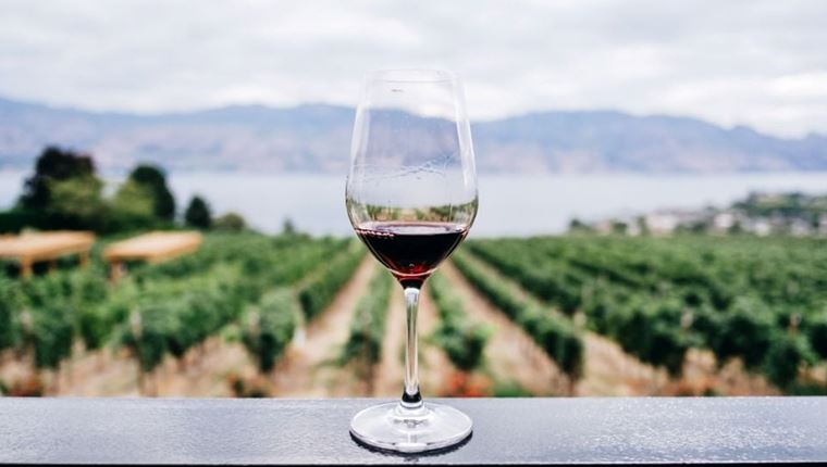 Ξεχωριστά κρασιά για ξεχωριστούς ανθρώπους