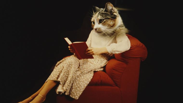 Βιβλία για άντρες, γραμμένα από γυναίκες