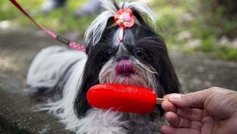 Ωραίο το παγωτό, αλλά πόσες ακριβώς θερμίδες έχει ανά γεύση;