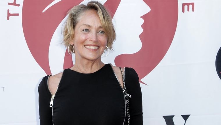 Μερικά εκατομμύρια likes για το μπικίνι της Sharon Stone