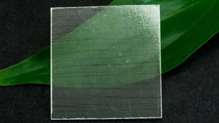 Τα smartphones του μέλλοντος μπορεί να χρησιμοποιούν διαφανές ξύλο