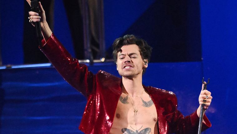 Στο χωριό του Harry Styles αναζητούν ξεναγούς