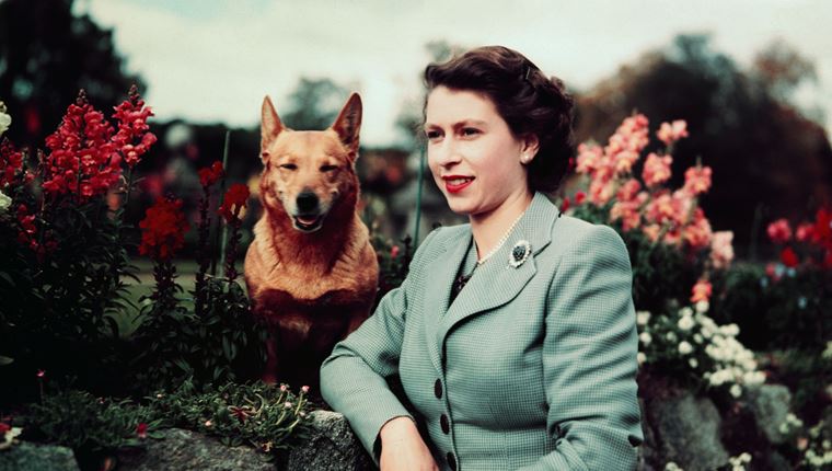 Μερικά πράγματα που ίσως δεν γνώριζες για την βασίλισσα Ελισάβετ