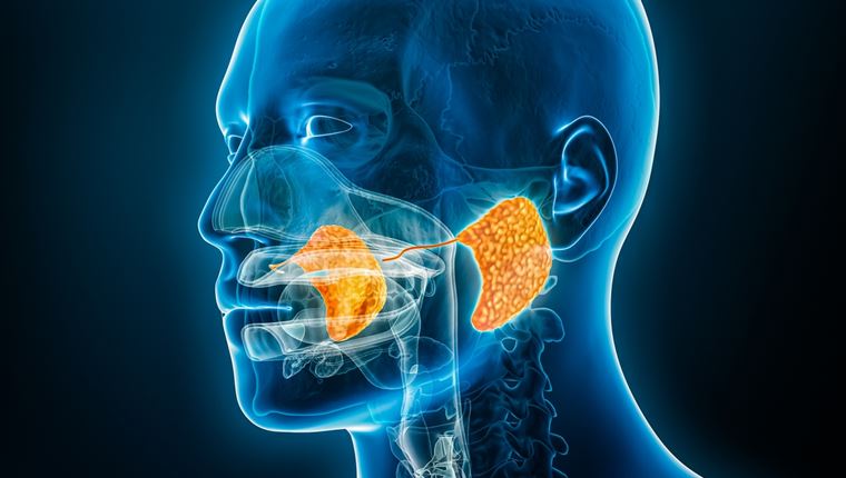 Σιελογόνοι αδένες: Παθήσεις και αντιμετώπιση