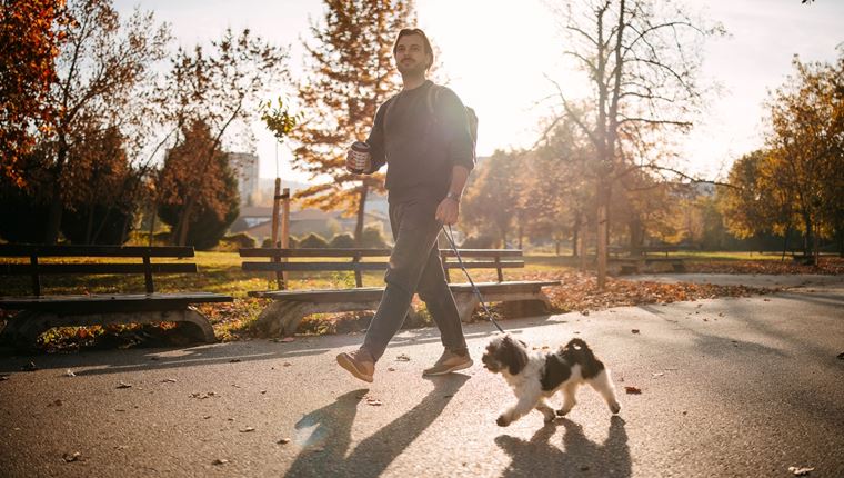 Ποια είναι η καλύτερη ώρα για να βγάλεις τον σκύλο σου βόλτα