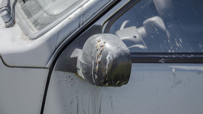 Το κόλπο για να μη σου λερώνουν τα πουλιά το αυτοκίνητο