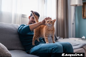 Τι να κάνεις άμα η γάτα σου επιτεθεί στο χριστουγεννιάτικο δέντρο - εικόνα 1