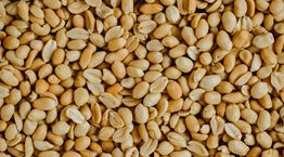 Αυτή η τροφή επιβραδύνει τη γήρανση με βάση μια νέα έρευνα