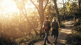 Τα οφέλη του περπατήματος στη φύση που κανένας δεν σου λέει