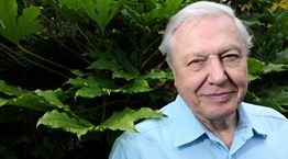 O David Attenborough είναι αισιόδοξος για το περιβάλλον