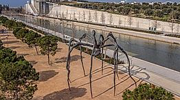 Τι παίζει με τη γιγαντιαία αράχνη στο ΚΠΙΣΝ