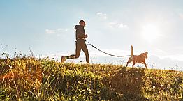 Πώς θα αδυνατίσεις απλά περπατώντας