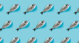 Η καλύτερη περίοδος για να φας ψάρι