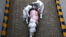 Πώς και γιατί ο SARS-COV-2 δεν κατασκευάστηκε σε εργαστήριο