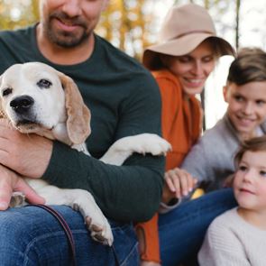 Πώς θα διαλέξετε τον πιο ταιριαστό σκύλο για την οικογένεια