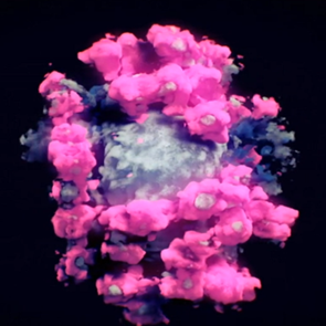 Η πρώτη πραγματική φωτογραφία του κορονοϊού