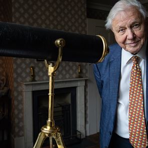 Ένα Νόμπελ Ειρήνης για τον David Attenborough